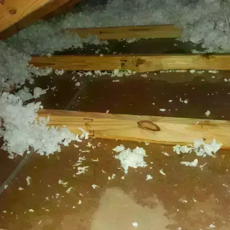 Attic Water Damage in Las Ochenta, PR